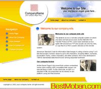 ��ɫ��ҵģ��