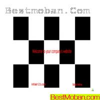 flashģ