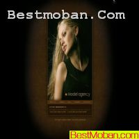 modelϢ_flashģ