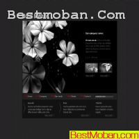 ڰ_ŷҳģpsd,htm,flash