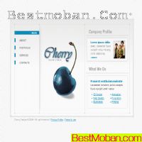 ŷҵҳģʮpsd,htm,flash