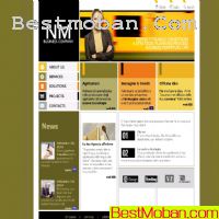 ŷҵҳģʮpsd,htm,flash
