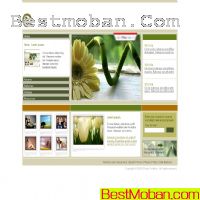 ŷҳģpsd,htm,flash