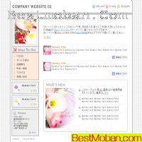 ձ(@rt_web)ģʮһ1