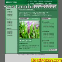 ձ(@rt_web)ģʮ