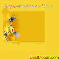 flashѤģ