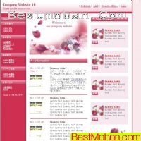 ձ(@rt_web)ģʮ