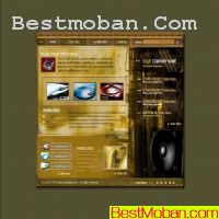 Ƭ˾ҳģ