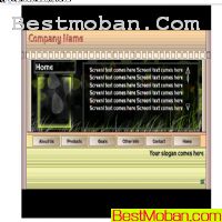 flashdd.comҳģʮһ