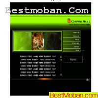 flashdd.comҳģʮһ