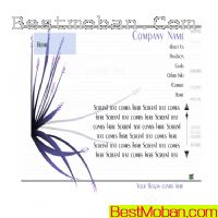 flashdd.comҳģʮ