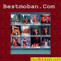 ֮flashģ