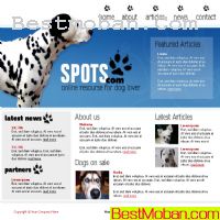 ﹷ֪ʶվ_ŷҳģpsd,html,fonts