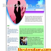 ŷflashģ4220