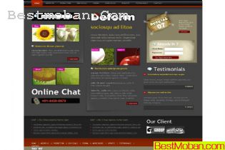 WEB׼ģŷϵ513