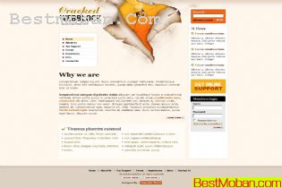 WEB׼ģŷϵ491