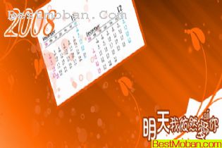 2008̨ģ壨11-12£