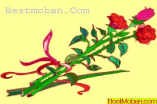 ˽ڷҷõ廨ʸز206