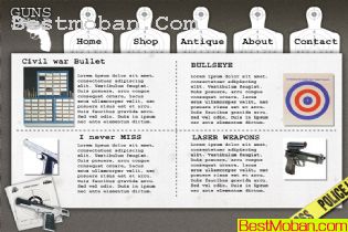 ֲվ_ŷҳģ5psd,6fla,html,fonts