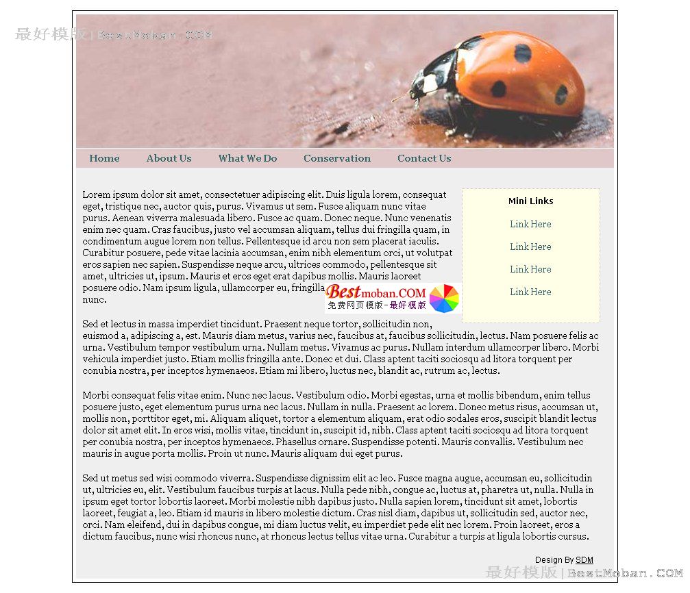 WEB׼ģŷϵ80