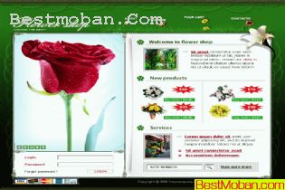 Ȼ̵꣭ŷģ5psd,6fla,html
