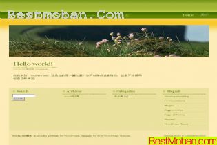 wordpressģϵ079