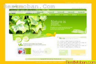 ũƷվ棭ģ5PSD
