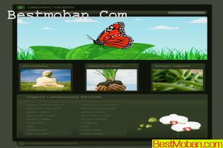 WEB׼ģŷϵ457