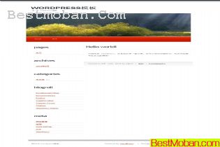 wordpressģϵ051