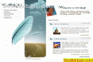 BLOGվ棭ŷҵģ7PSD,2FLA,HTML10195