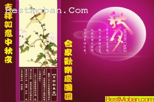 PSDز03