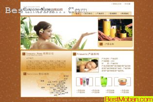 ӭ컯ױƷ˾վ棭ҵģ4PSD