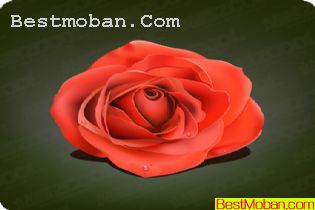 ˮĴõ廨ʸͼ