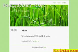 WEB׼ģŷϵ137