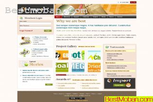 WEB׼ģŷϵ478