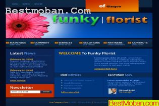 ŷͨ˾վҵģ8PSD,1FLA,HTML