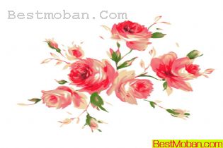 PSDʻز035