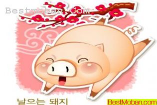 2007꺫AIʸͼ11