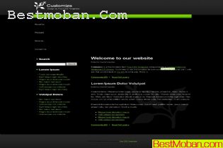 WEB׼ģŷϵ475