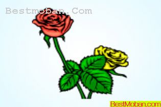 ˽ڷҷõ廨ʸز105