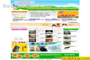 ĳվҳģHTML
