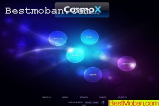 2009ŷ°FLASHҳģ30