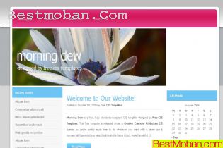 WEB׼ģŷϵ599