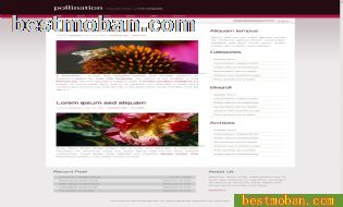 WEB׼ģŷϵ665