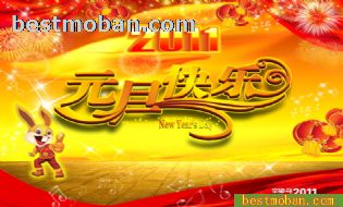 2011ԪͼƬ