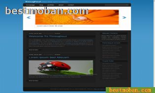 WEB׼ģŷϵ628