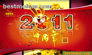 2011괺ģ