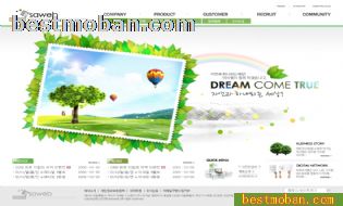 2011ҳģϵ002