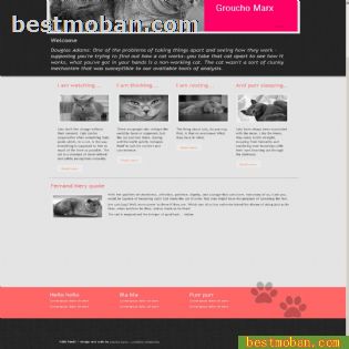 HTML5+CSS3ҳģ006