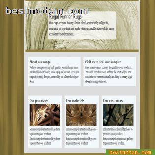 HTML5+CSS3ҳģ010